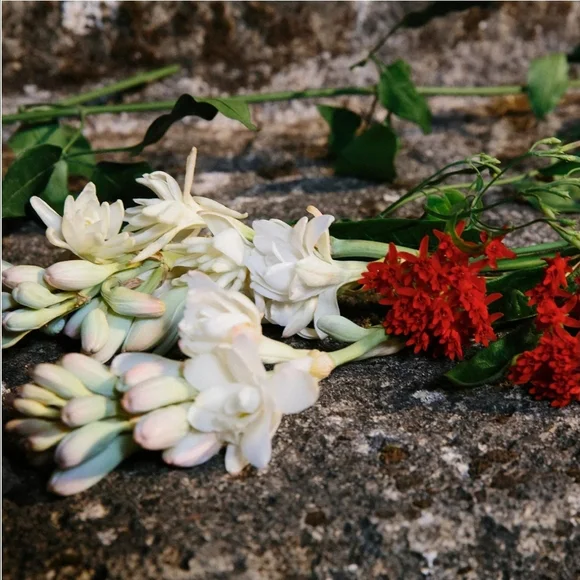 Gucci Bloom Eau de Parfum Spray, 3.3 oz. NEW - Picture 7 of 16